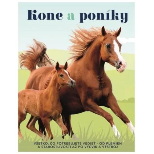 Kone a poníky