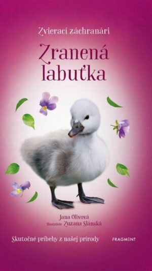Zranená labuťka