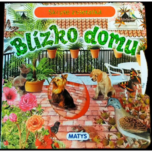 Blízko domu