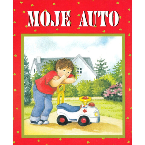 17 Moje auto