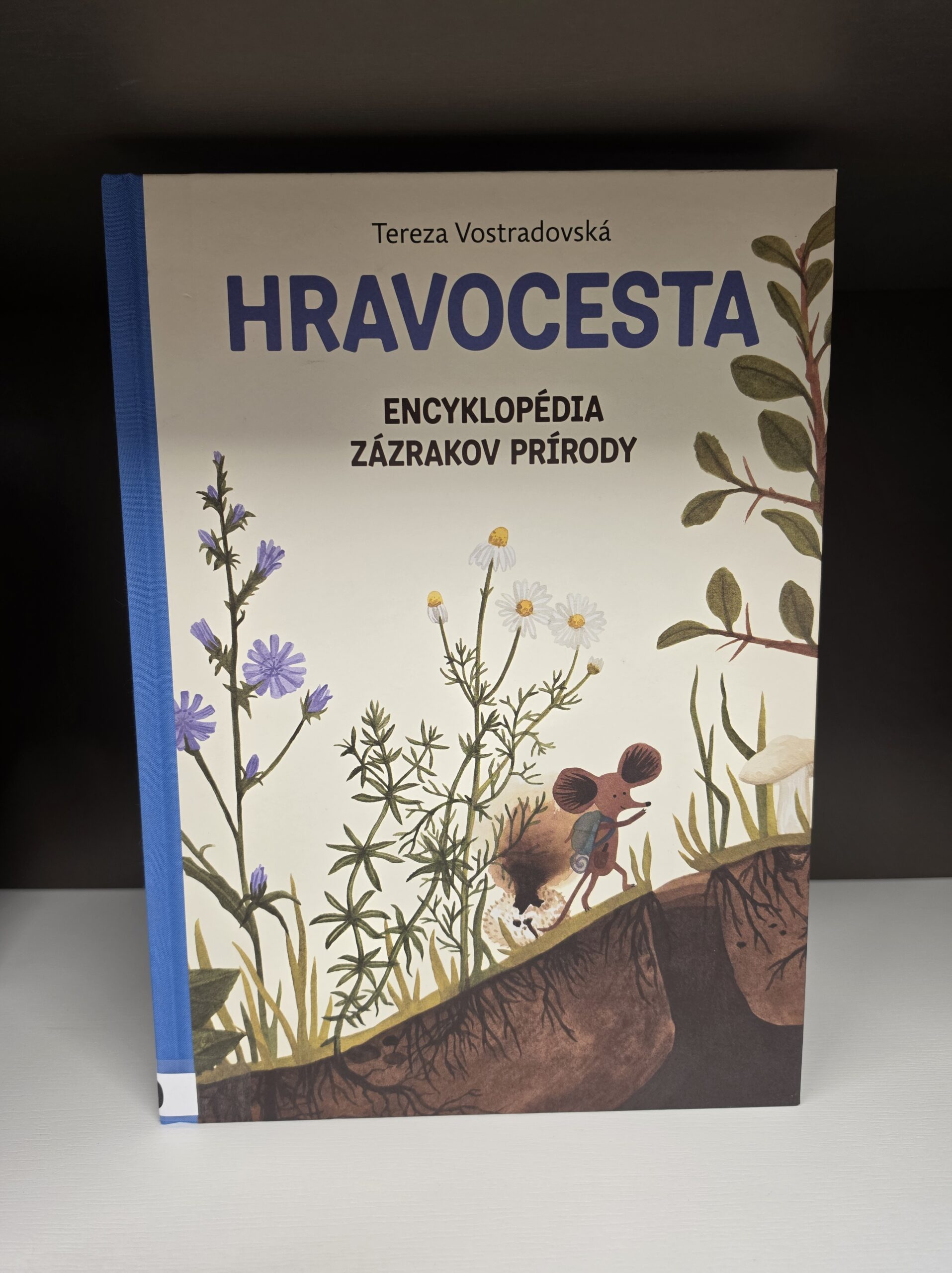Hravocesta